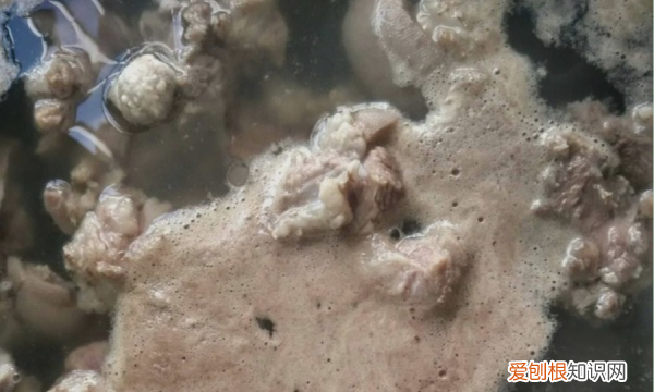 如何炖萝卜好吃，怎么做白萝卜羊骨汤