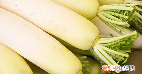 如何炖萝卜好吃,怎么做白萝卜羊骨汤