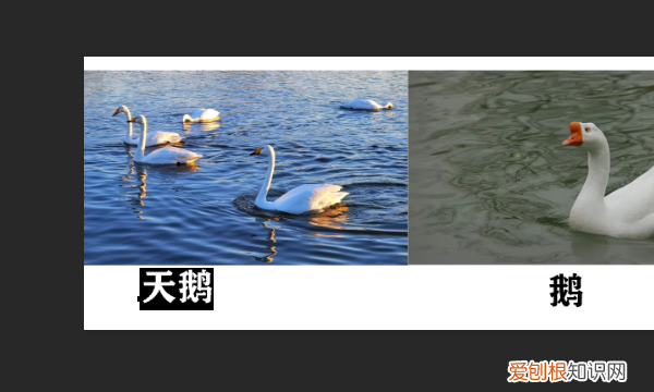 如何用PS加粗字体，如何把ps字体变成原来字体一样