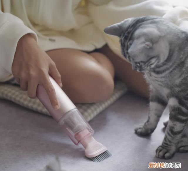 戴森吸尘器与国产吸尘器吸力对比 戴森吸尘器与国产吸尘器的差距