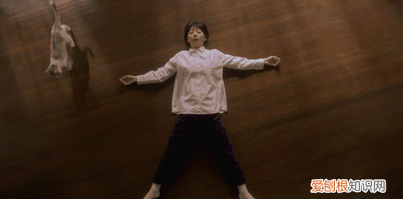 戴森吸尘器与国产吸尘器吸力对比 戴森吸尘器与国产吸尘器的差距