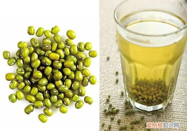 婴儿绿豆水的正确做法降火 绿豆汤可以给便秘的宝宝喝