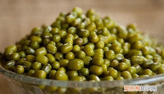 婴儿绿豆水的正确做法降火 绿豆汤可以给便秘的宝宝喝