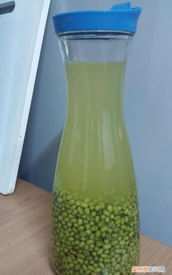 婴儿绿豆水的正确做法降火 绿豆汤可以给便秘的宝宝喝