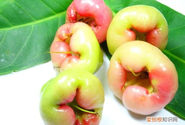 莲雾的正确吃法和做法