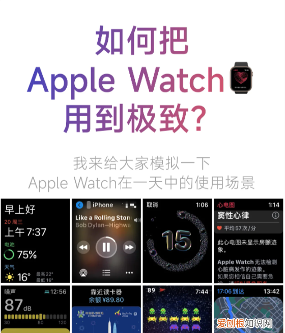 在哪里设置apple watch