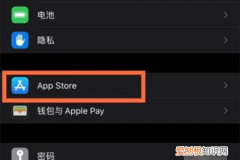 苹果手机app软件自动更新怎么关闭
