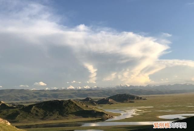 另一个伊甸怎么钓鱼，另一个伊甸:超越时空的猫钓鱼有什么用