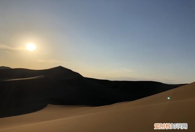 另一个伊甸怎么钓鱼，另一个伊甸:超越时空的猫钓鱼有什么用