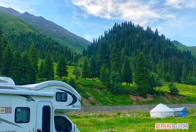 另一个伊甸怎么钓鱼，另一个伊甸:超越时空的猫钓鱼有什么用