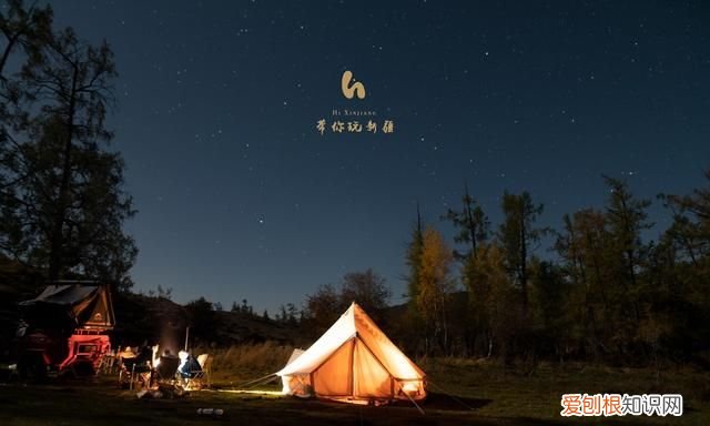 另一个伊甸怎么钓鱼，另一个伊甸:超越时空的猫钓鱼有什么用