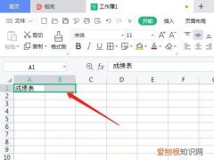 表格出现双表格怎么取消