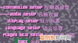 罪恶都市怎么设置成最大的分辨率