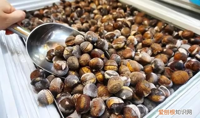 板栗冷冻要煮熟还是生冻