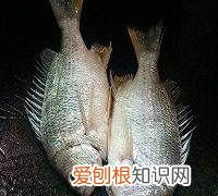 腊鱼汤怎么做好吃，腊鱼汤怎么制作好吃