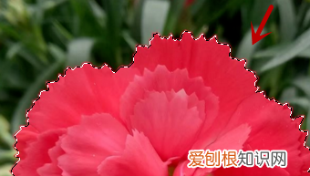 ps怎么修复边缘，ps中如何羽化边缘