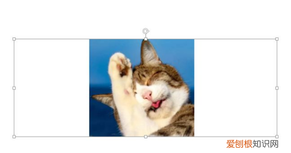 怎样将PPT中的动画全部取消，ppt怎么取消动画效果自动播放