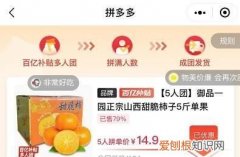 拼多多怎么开团拼团，拼多多怎么邀请人开店