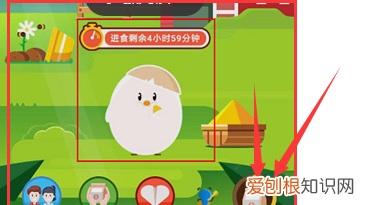 蚂蚁庄园小鸡该如何抢食，支付宝蚂蚁庄园怎么不让别人偷吃