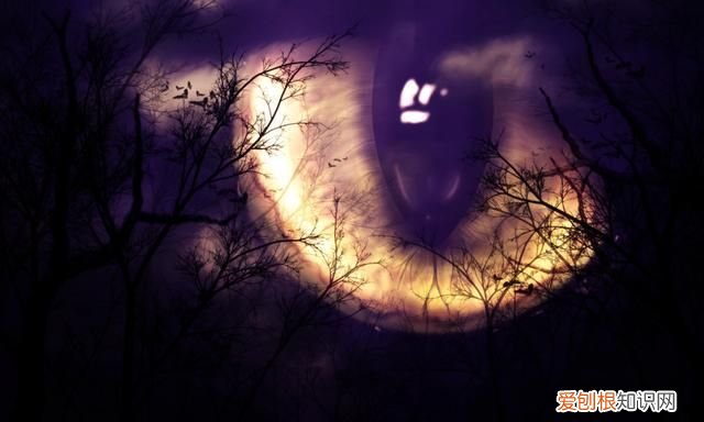 抖音里一些特别好的文章