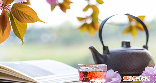 樱桃酒泡多长时间就可以喝了