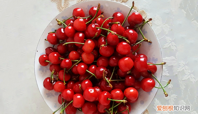 樱桃酒泡多长时间就可以喝了