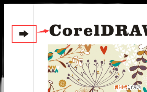 cdr要咋插入，cdr怎么导入png图片