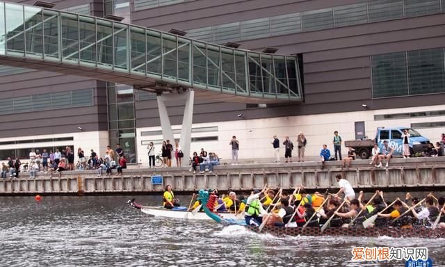 万水千山粽是情为什么端午节要吃