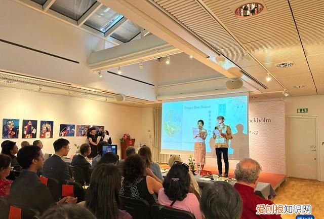 万水千山粽是情为什么端午节要吃