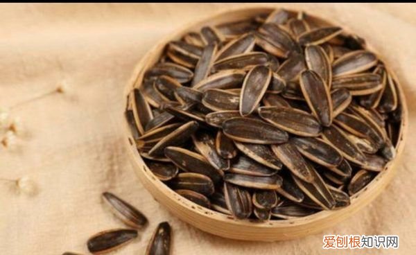 哪些食物适合在火车上吃，老人坐火车吃什么食物最合适