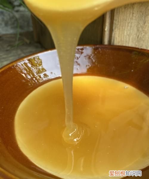 野生蜂蜜怎么吃最好，野生蜂蜜怎么处理才能吃
