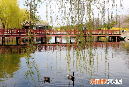 春分的风俗是什么，春分踏青是什么意思