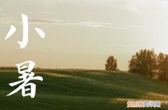 小暑入伏天,湖畔纳清凉什么意思