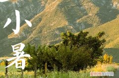 小暑为什么要吃面 小暑吃黄鳝有什么好处