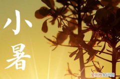 夏至入伏还是小暑入伏 小暑吃新米寓意是什么