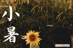 小暑就是入伏了吗 小暑为什么要吃饺子