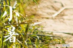 小暑入伏还是大暑入伏 小暑晒书画衣服的原因