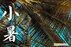 小暑为什么不是丙火 小暑晒伏是什么意思