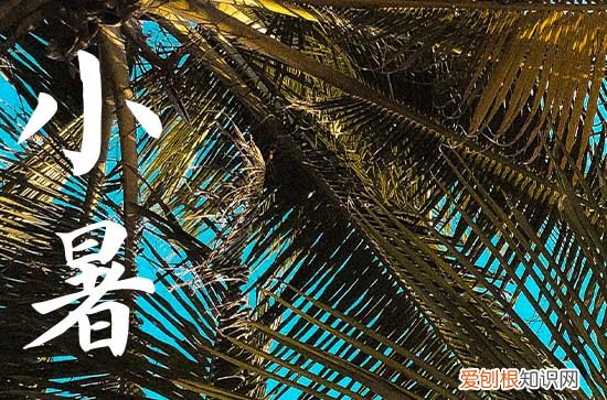 小暑为什么不是丙火 小暑晒伏是什么意思