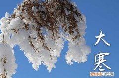 大寒节气祝福短句 3篇