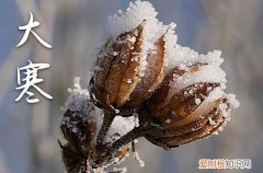 大寒节气暖心祝福语大全