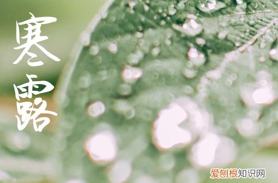 适合寒露发的简短祝福语