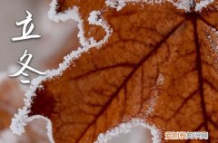 最新的立冬当天暖心的祝福句子