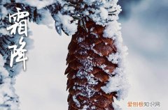 简短的霜降祝福说说