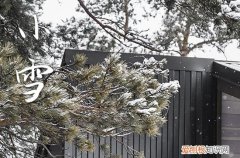 集锦15篇 小雪节气的祝福语