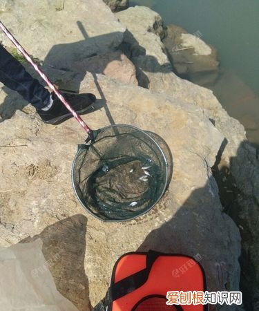 不要钓我什么意思，我也不想被钓什么意思