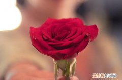 2023中国的情人节是元宵节还是七夕 2023年七夕情人节日期是什么时候