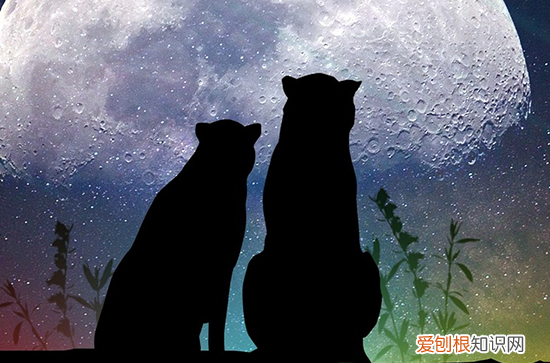 2023七夕节是几月几日农历 2023七夕节会下雨吗