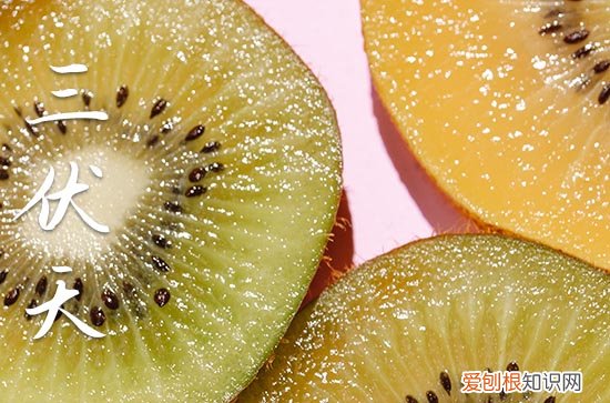 2023年哪天入伏第一天