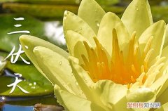 2023入伏是哪一天